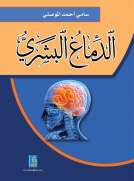 الدماغ البشري