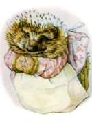 The Tale of Mrs. Tiggy-Winkle