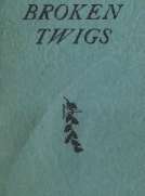 Some Broken Twigs