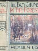 The Boy Chums in the Forest; Or, Hunting for Plume Birds in the Florida Everglades