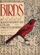 Birds, Illustrated by Color Photography, Vol. 1, No. 3
March 1897