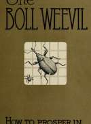 How to Prosper in Boll Weevil Territory