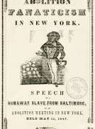 Abolition Fanaticism in New York
Speech of a Runaway Slave from Baltimore, at an Abolition
Meeting in New York, Held May 11, 1847