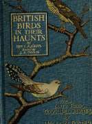 British Birds in Their Haunts
