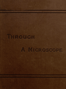 Through a Microscope
Something of the Science, Together with many Curious Observations Indoor and Out and Directions for a Home-made Microscope.