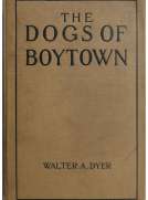 The Dogs of Boytown