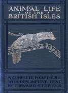 Animal Life of the British Isles
A Pocket Guide to the Mammals, Reptiles and Batrachians
of Wayside and Woodland