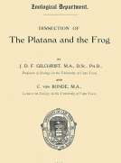 Dissection of the Platana and the Frog
