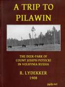 A Trip to Pilawin
The Deer-park of Count Joseph Potocki in Volhynia, Russia