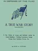 In Defense of the Flag
A true war story