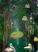 صغار الطيور صغار الطيور