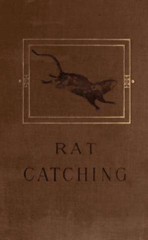 Studies in the Art of Rat-catching