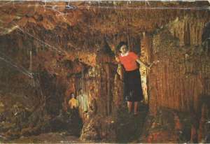 Florida Caverns State Park
Marianna, Florida