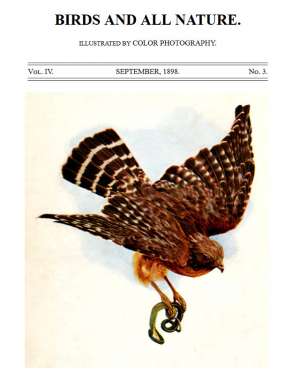 Birds and all Nature, Vol. IV, No. 3, September 1898
Illustrated by Color Photography