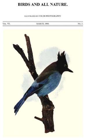 Birds and all Nature Vol VII, No. 3, March 1900
Illustrated by Color Photography