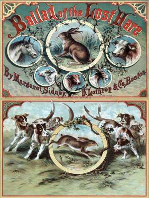 Ballad of the Lost Hare