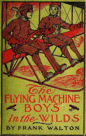 The Flying Machine Boys in the Wilds
The Mystery of the Andes