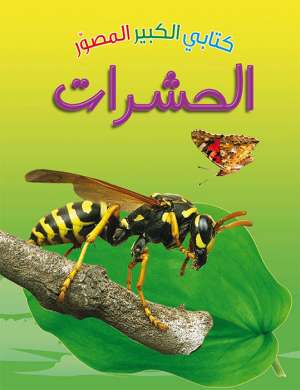 كتابي الكبير الصوّر: الحشرات