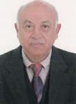 د. محمد علي الخولي