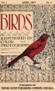 Birds, Illustrated by Color Photography, Vol. 1, No. 4
April, 1897