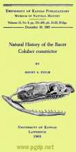 Natural History of the Racer Coluber constrictor Natural History of the Racer Coluber constrictor