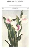 Birds and all Nature, Vol. VI, No. 4, November 1899
In Natural Colors