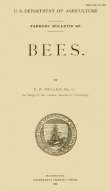 Bees Bees
